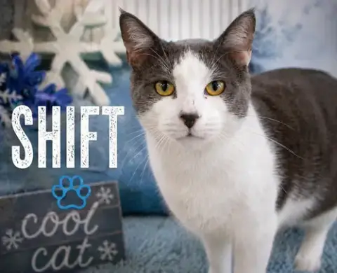Shift