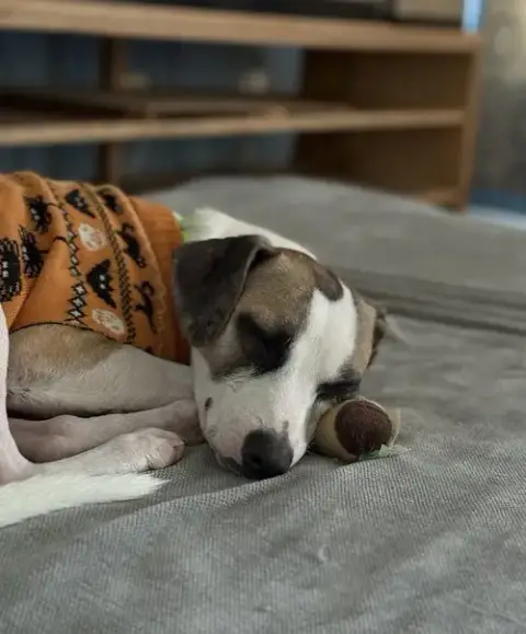 Otto photo 5