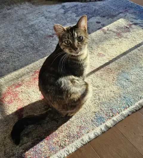 Molly