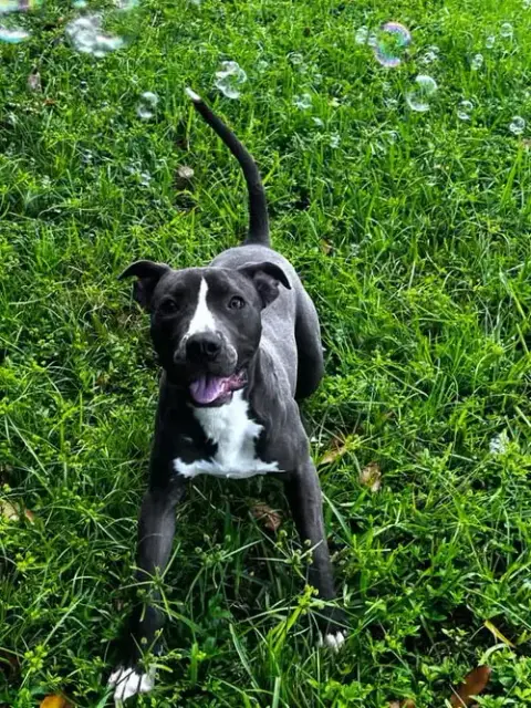 Chance photo 2
