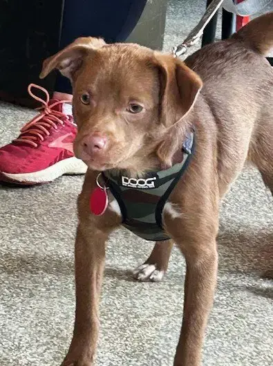 Snoop Dog photo 5