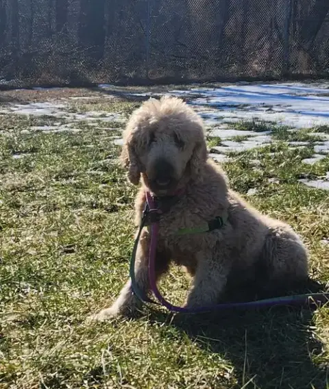 Winnie photo 4