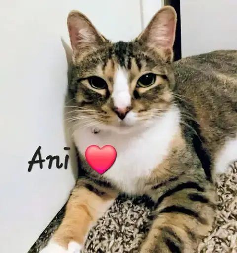 Ani #Super-Friendly photo 2