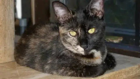 Delilah photo 2