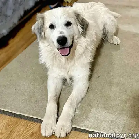 Pretty Girl In Tn