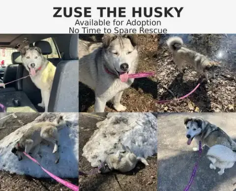 Zeus photo 3
