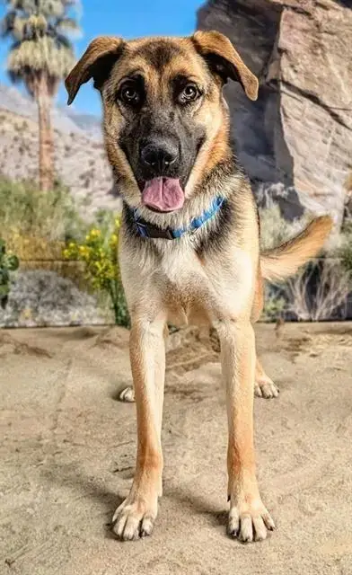Zeke