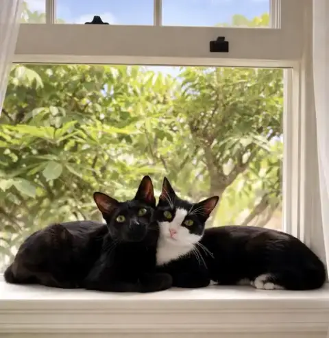 Mr Bing Bing & Ms Ming Ming
