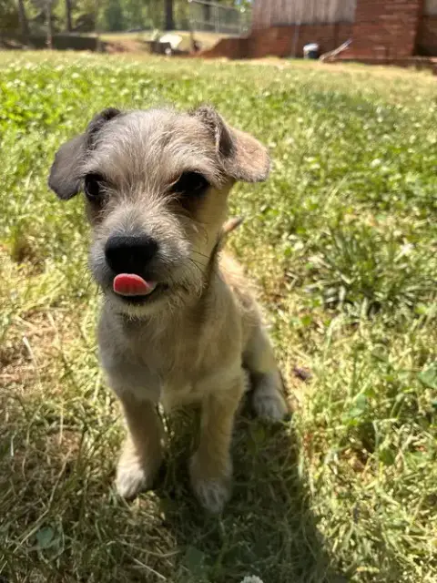 Xavier