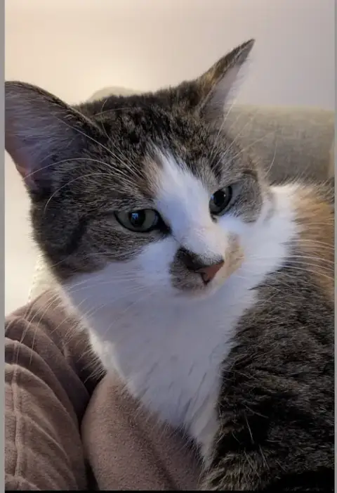 Callie photo 2