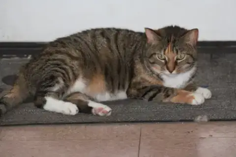 Zena photo 2