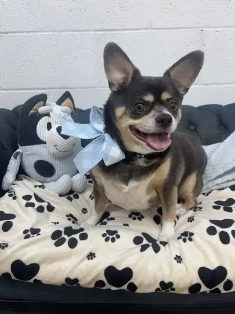 Cooper photo 3