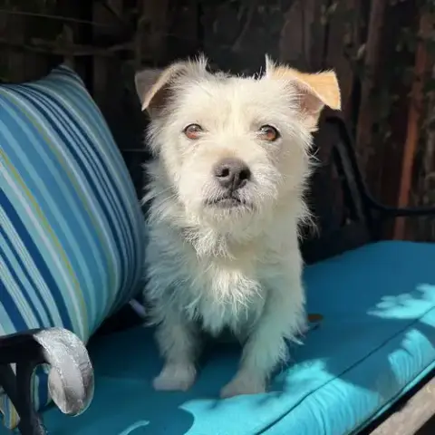 Ernie photo 4