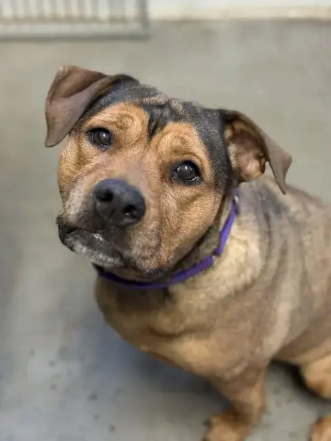 Maggie photo 4