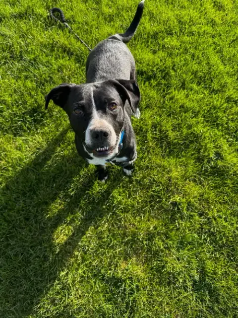 Wiggle photo 2