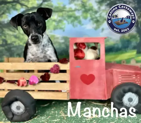 Manchas photo 2