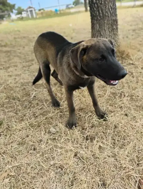 Oakley