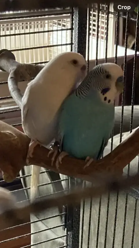 Keelie And Haku