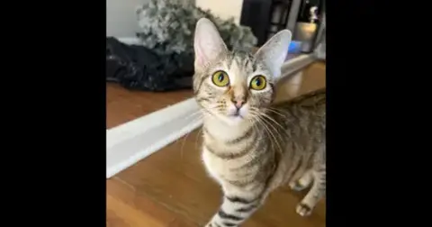 Pati