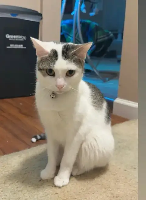 Patches
