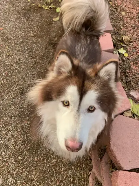 Jake photo 3