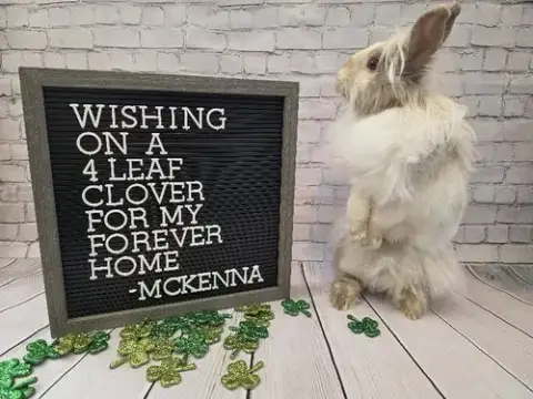 Mckenna photo 3