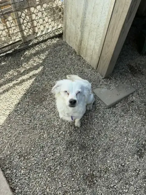Bright Frankie photo 4