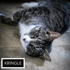 Kringle: Medical/Sn Foster photo 3