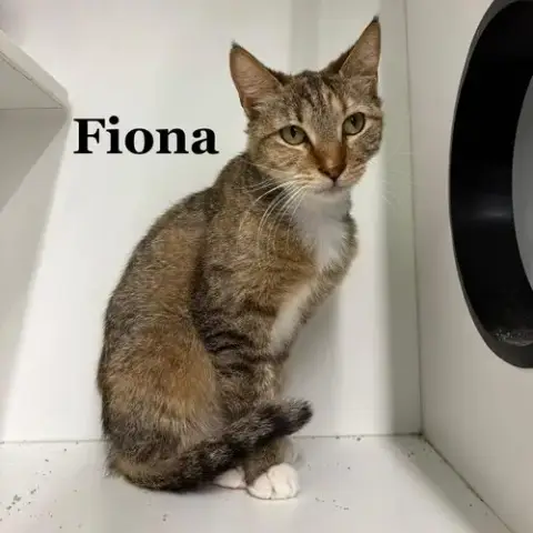 Fiona photo 2