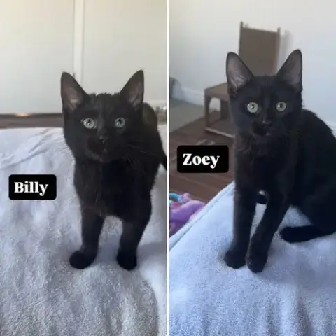 Billy / Zoey