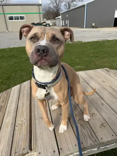 Zeus photo 4