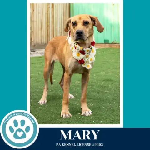 Mary 032826 photo 2
