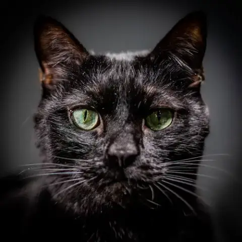 Edgar