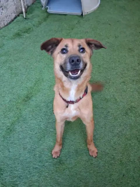 Cooper photo 3