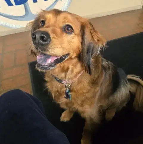 Penny In Ri photo 3