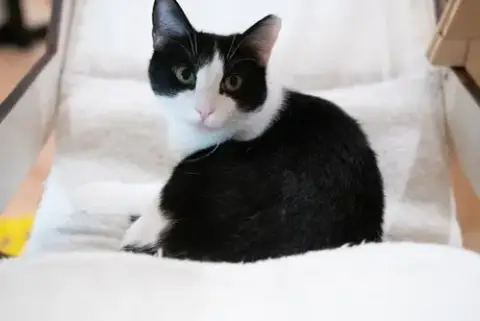 Tiny Bit