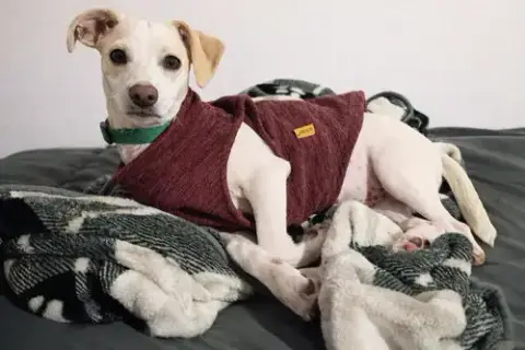 Seymour photo 2