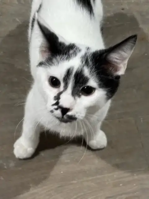 Nicholas