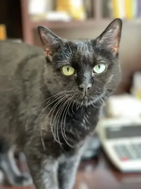 Sabrina photo 5