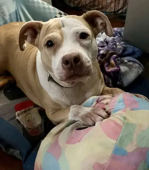 Coco