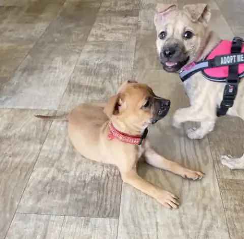 Happy photo 5