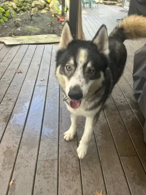Miles photo 3