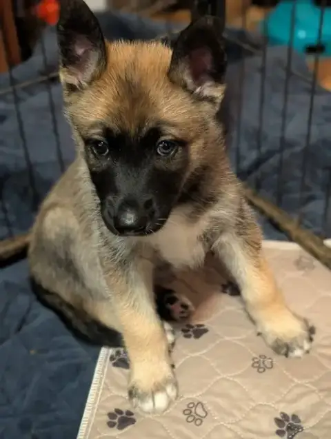Yukon