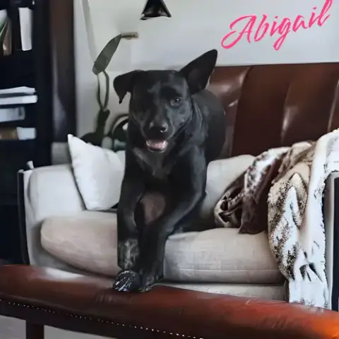 Abbie Gail