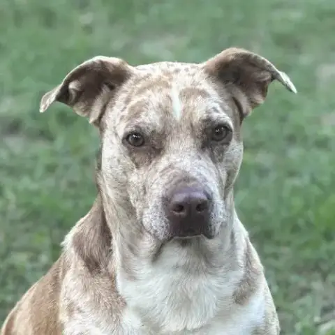 Bernadette