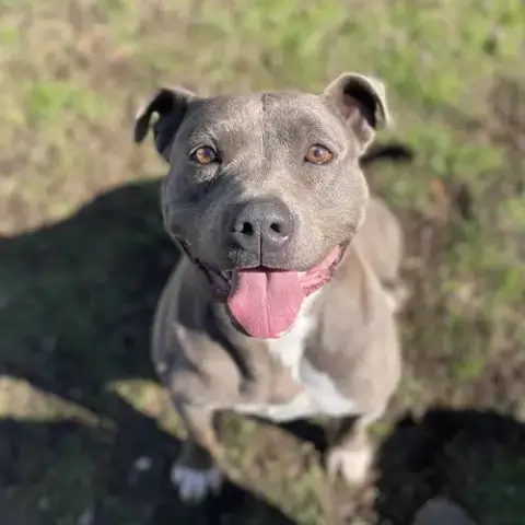 Winnie