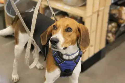 Winston photo 3