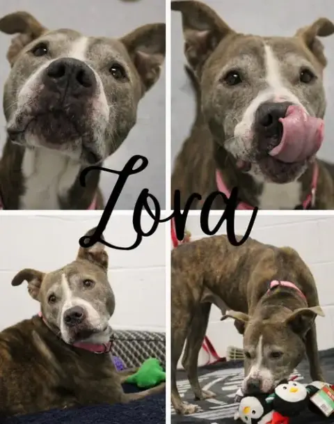 Zora