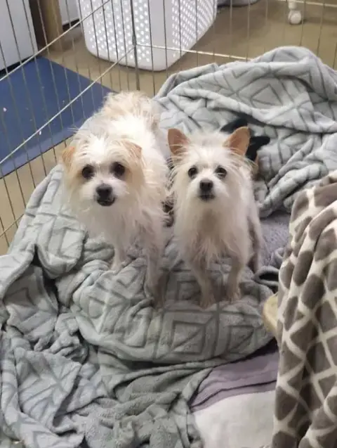 Bert And Ernie