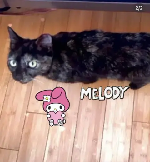 Melody photo 3